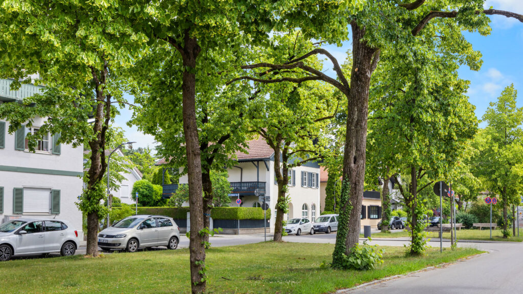 Quiet residential street with a tree-lined avenue, parked cars, and older buildings in the vicinity of Munich-Pasing