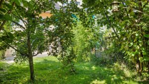Green garden with fruit trees and lawn by the house in Planegg