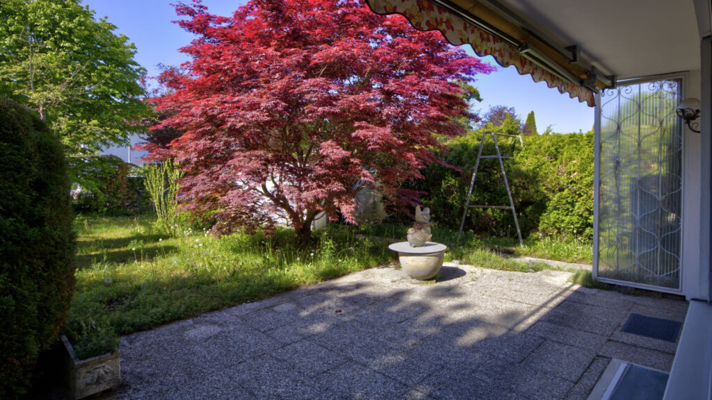 Terrasse mit Springbrunnen und rotem Ahornbaum vor der Doppelhaushälfte in Gauting