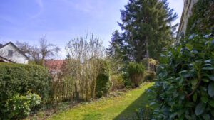 Schmaler Gartenweg mit Hecken, Nadelbäumen und Rasenstreifen bei Reihenendhaus in Unterhaching bei München