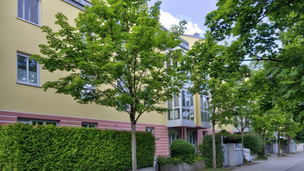 Wohngebäude in Berg am Laim mit gelber Fassade, Hecke und Bäumen vor dem Eingang