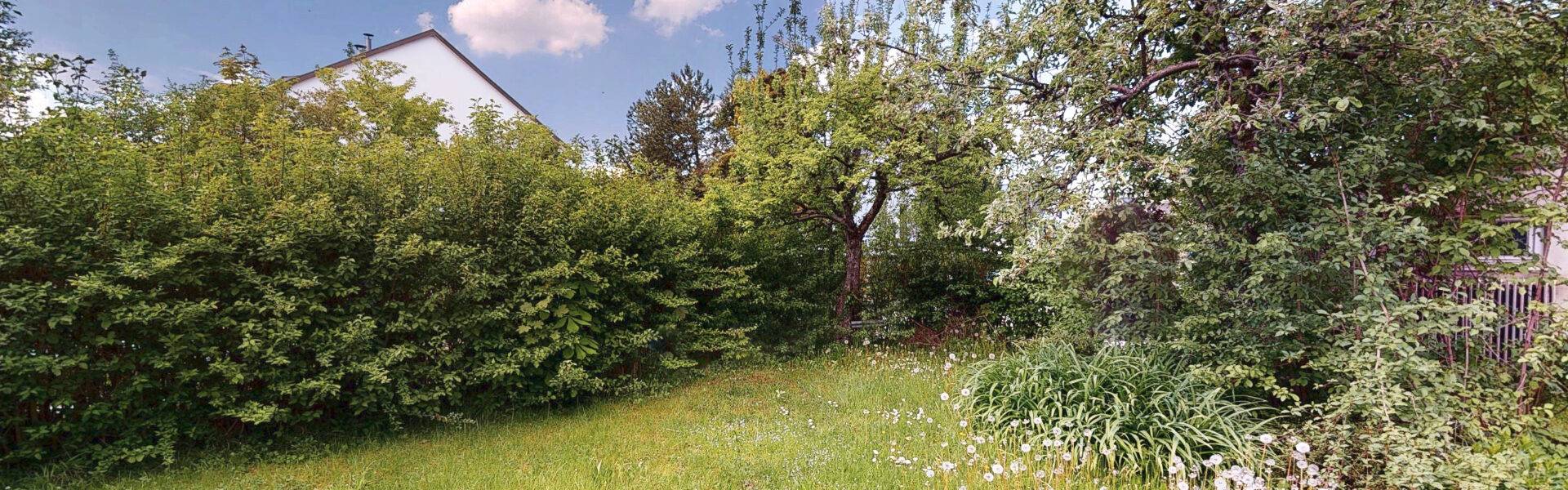 Schmaler eingewachsener Gartenstreifen mit Hecke und Sträuchern hinter einem Haus in München-Bogenhausen