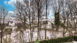 Winterly view from the balcony of the surrounding houses and trees in Munich-Bogenhausen