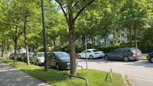 Baumgesäumte Wohnstraße mit parkenden Autos in der Umgebung einer Eigentumswohnung in München-Hadern