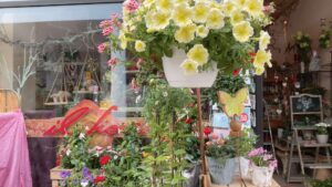 Schaufenster eines Blumenladens mit gelben Petunien und buntem Blumenangebot in der Wohnumgebung von München-Hadern