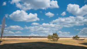Weite Heidelandschaft mit vereinzelten Bäumen und Wolkenhimmel im Stadtteil Milbertshofen in München