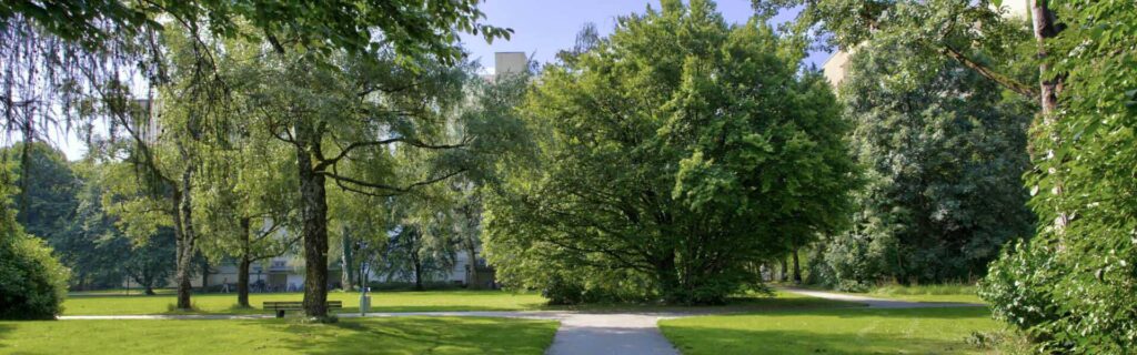 Narrow path through the park with trees surrounding the apartment in Perlach