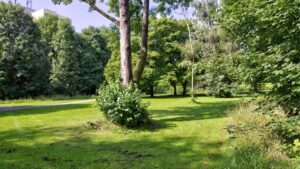 Green area with shrubs and tall trees in the vicinity of the apartment in Perlach