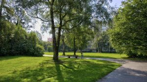 Paved path through the park with trees around the apartment in Perlach
