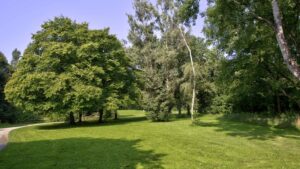 Park with large trees and paths in the vicinity of the apartment in Perlach