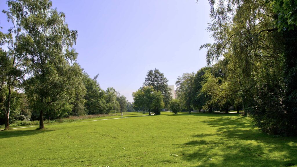 Extensive green space with trees and grass in the vicinity of the apartment in Perlach