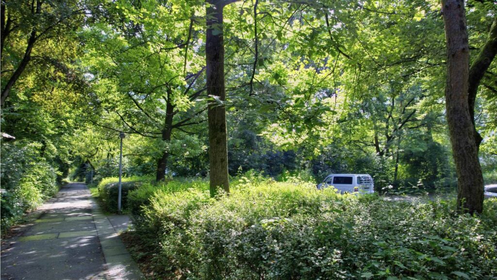 Access road lined with trees with a white delivery van parked in the distance in Munich-Perlach