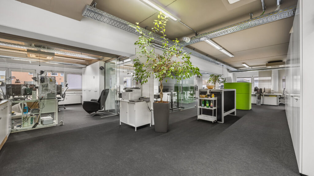 Open-plan office with multiple workstations and a green plant in Puchheim – Rogers Immobilien