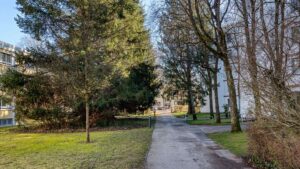 Gepflasterter Zuweg durch Grünanlage mit Nadel- und Laubbäumen in der Wohnanlage Solln