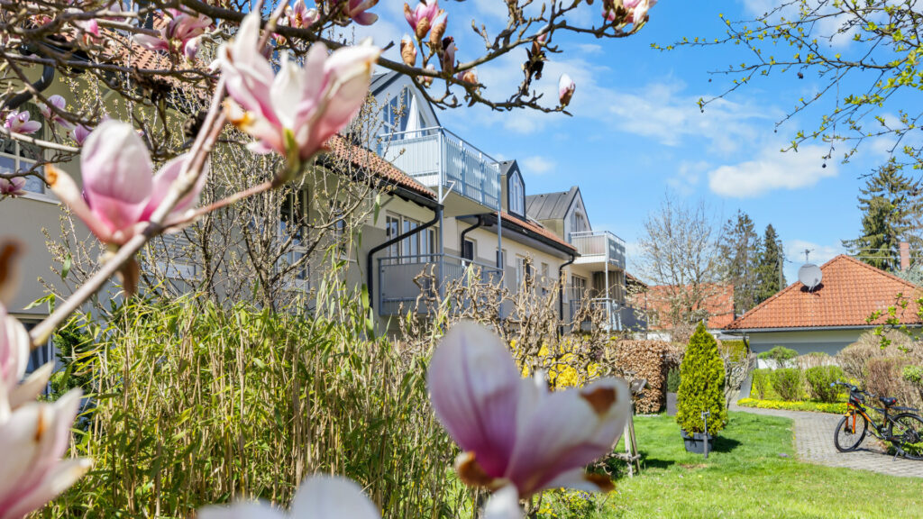 Blooming magnolia branches in the foreground in front of a residential building with a garden in Munich-Feldmoching – Rogers Immobilien
