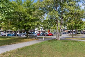Grüner Platz mit altem Baumbestand in der Nähe der Wohnung