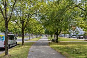Schattiger Weg durch eine Grünanlage in der Nähe der Wohnung