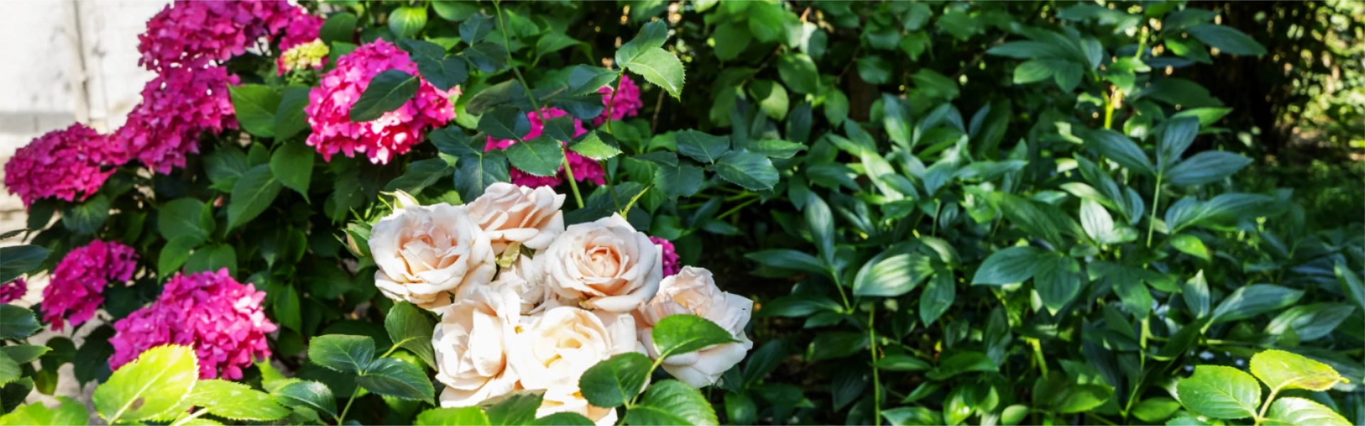 Rosenheim DHH kaufen Garten
