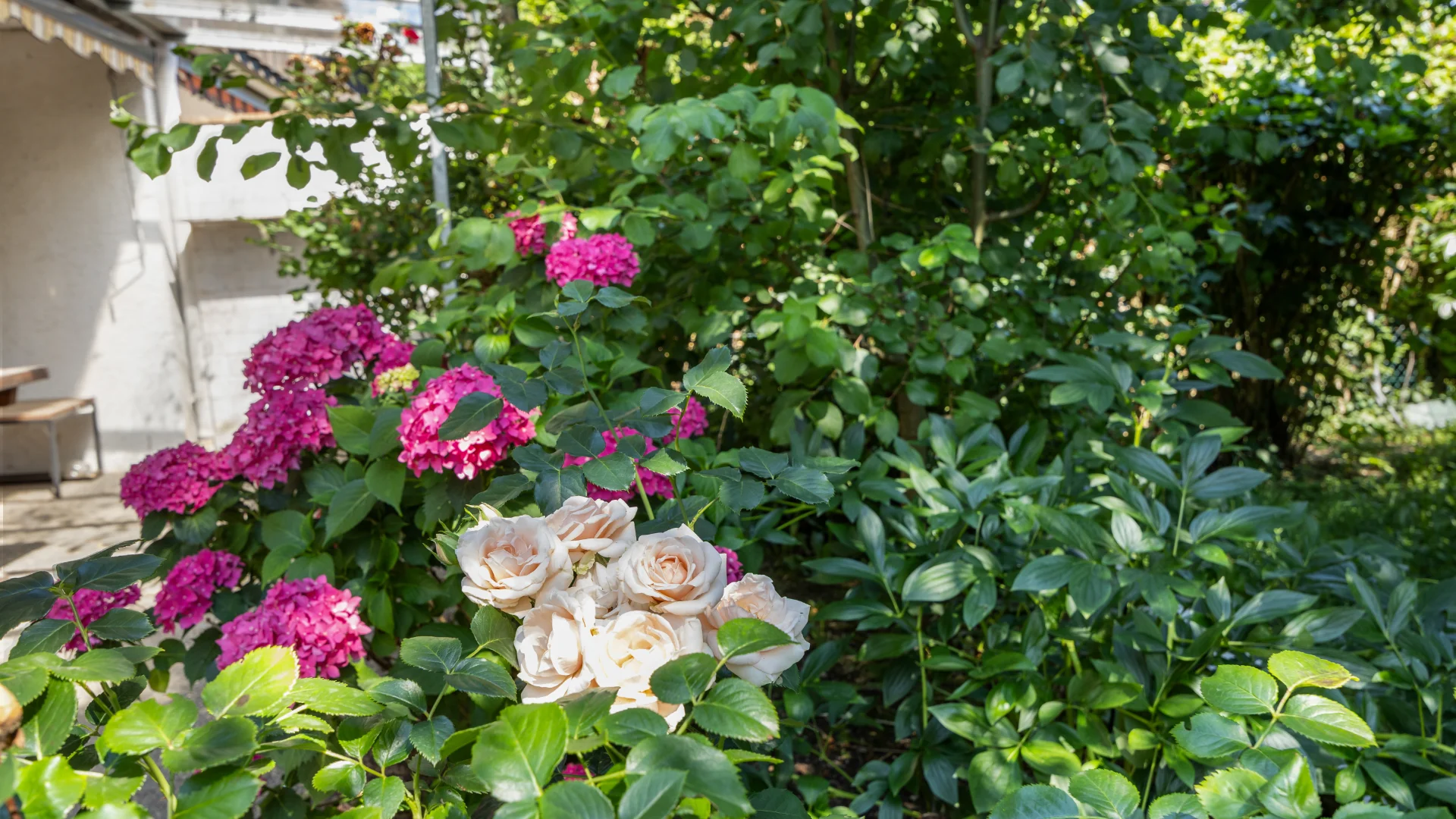 Rosenheim DHH kaufen Garten