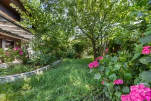 Gartenweg zwischen Bäumen und blühenden Hortensien