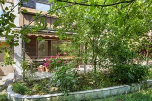 Blick durch Obstbäume auf die Terrasse im Garten