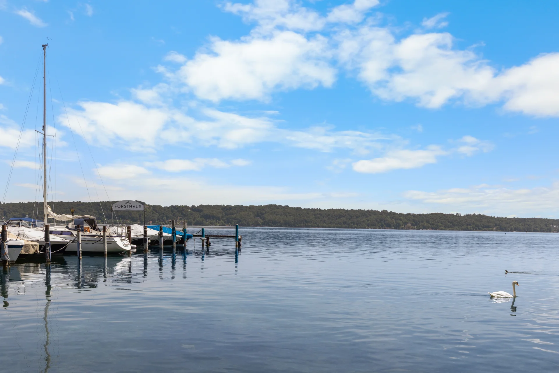 Feldafing Immobilie kaufen Starnberger See